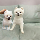 Almofada Personalizada com a Foto do seu Pet