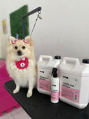 BASIQ KIT PITAYA PET [KIT 3 PRODUTOS]