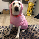 Roupa Para Cachorro Moletom Confortável para Pet - Adidog™